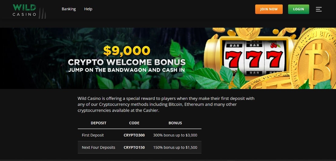 Wild Casino Welcome Bonus